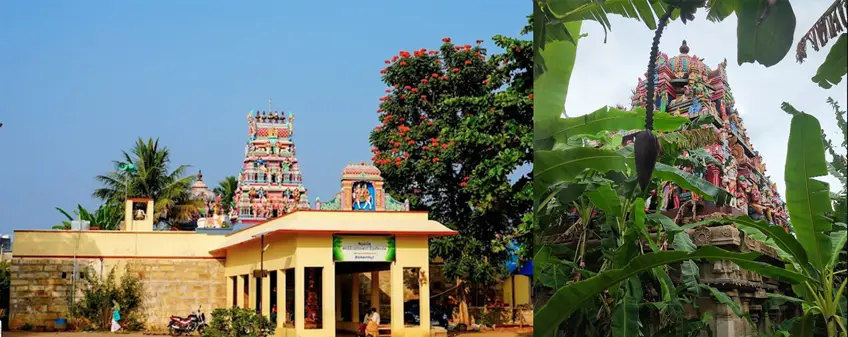 chettinadresorts